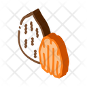 Pecan Nut Icon