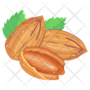 Pecan Nuts Icon