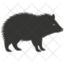 Peccary  Icon