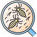 Pediculosis Lice Epidemic Icon