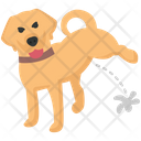 Pee  Icon