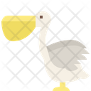 Pelican Bird Animal Icon
