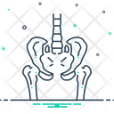 Pelvic One Bones Icon