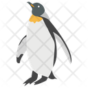 Penguin Animal Seabird Icon