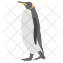 Penguin Beak Animal Flightless Bird Icon