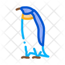 Penguin Bird Iceberg Icon
