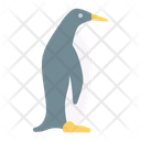 Penguin Animal Habitat Icon