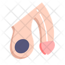 Penis Body Male Icon