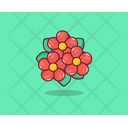 Peony Flower Spring Lower Agriculture Icon