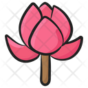 Peony Flower Icon