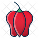 Food Pepper Sweet Icon