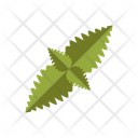 Peppermint Leaves Herb Icon