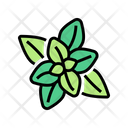 Peppermint Aromatherapy Color Icon