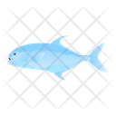 Permit Fish Icon