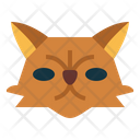 Persian Cat Icon