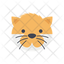 Mammal Feline Coon Icon