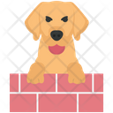 Pet Jumping Wall Icon
