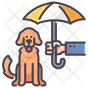 Iinsurance Pet Pet Insurance Pet Icon