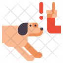 Pet Punishment Icon