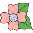 Flower Petals Blossom Icon