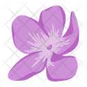 Petals  Icon