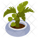 Philodendron Icon