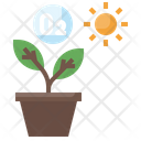 Photosynthesis Plant Oxygen Icon