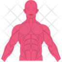 Physical Icon