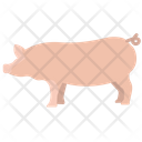 Pig Animal Wildlife Icon