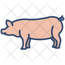 Pig Animal Wildlife Icon