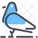 Pigeon Bird Icon