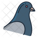 Pigeon Dove Peace Icon