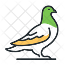 Pigeon Bird Wildlife Icon