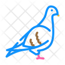 Pigeon Icon