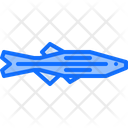 Pike Fish Food Icon