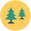 Pine Icon