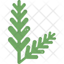 Pine Branch Icon