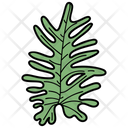 Pine Leaf Leaf Foliage Icon