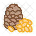 Pine Nut Food Icon