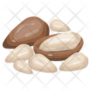 Pine Nuts Icon