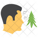Pine Smell Icon