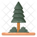 Pine Tree Fir Tree Conifer Tree Icon