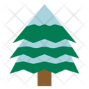 Pine Tree Christmas Tree Pine Icon