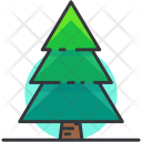 Pine Tree Fir Icon