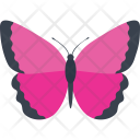 Morpho Fly Insect Icon