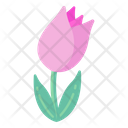 Pink Tulip Icon