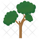 Pinus Bonsai Sylvestris Icon