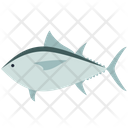 Piranha Icon