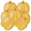 Pistachio Salted Seed Icon