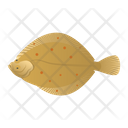 Plaice Fish Icon